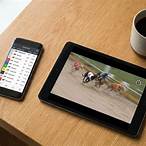 greyhound bet apps